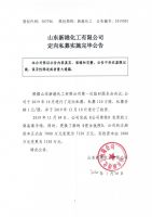 山东新港化工有限公司定向私募实施完毕公告