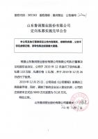 山东鲁润塑业股份有限公司定向私募实施完毕公告