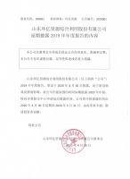 山东环亿资源综合利用股份有限公司延期披露2019年年度报告的内容