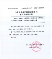 山东大宇集团股份有限公司董监高变更公告