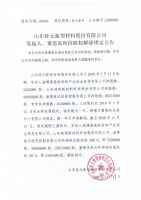 山东硅元新型材料股份有限公司发起人、董监高所持股权解除锁定公告