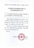 山东博泰文化发展股份有限公司定向私募实施完毕公告