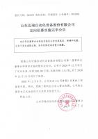 山东迈瑞自动化设备股份有限公司定向私募实施完毕公告