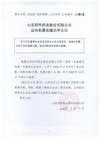 山东四环药业股份有限公司定向私募实施完毕公告