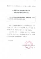 山东新世纪不锈钢有限公司定向私募实施完毕公告