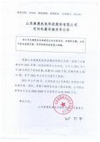山东泰展机电科技股份有限公司定向私募实施完毕公告