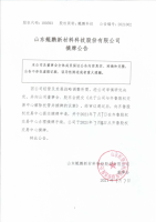 山东鲲鹏新材料科技股份有限公司摘牌公告