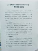 山东民强生物科技股份有限公司破产管理人第二次拍卖公告及资产拍卖须知