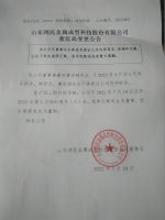山东鸿民金属成型科技股份有限公司 董监高变更公告