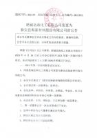 肥城岳海化工有限公司变更为泰安岳海新材料股份有限公司的公告