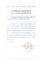 山东淄博电瓷厂股份有限公司关于公司股东股权质押的公告