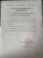 山东锐泽自动化科技股份有限公司董监高变更公告
