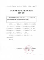 山东盛唐新能源电力股份有限公司摘牌公告