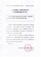 山东远联化工股份有限公司定向私募实施完毕公告
