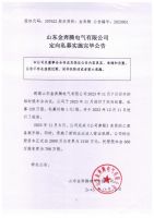 山东金奔腾电气有限公司定向私募实施完毕公告