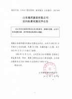 山东城邦建设有限公司定向私募实施完毕公告