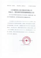 山东丽能电力技术股份有限公司发起人、董监高所持股权解除锁定公告