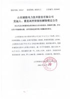 山东丽能电力技术股份有限公司发起人、董监高所持股权解除锁定公告
