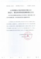 山东丽能电力技术股份有限公司发起人、董监高所持股权解除锁定公告