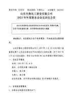 山东兴鲁化工股份有限公司2024 年年度股东会会议决议公告