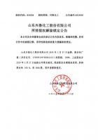 山东兴鲁化工股份有限公司所持股权解除锁定公告