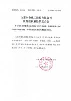 山东兴鲁化工股份有限公司所持股权解除锁定公告